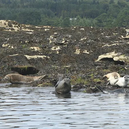 Riverlodge Self Catering