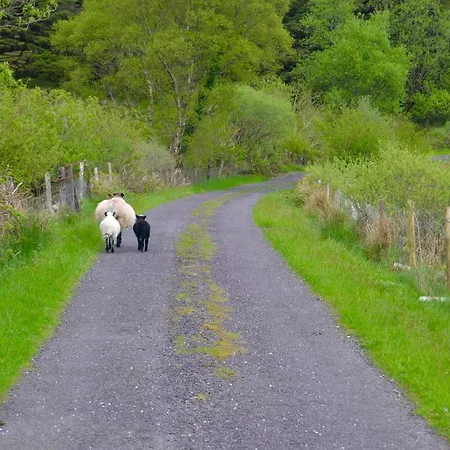 Feriehus Riverlodge Self Catering Kenmare