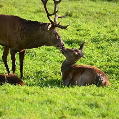 Riverlodge Self Catering