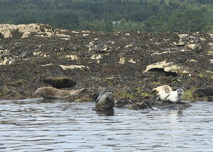 Riverlodge Self Catering