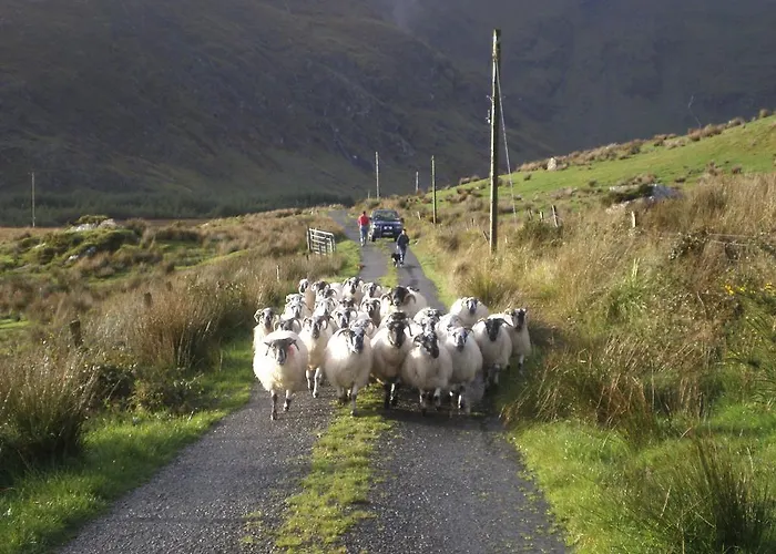 Riverlodge Self Catering 度假居 *