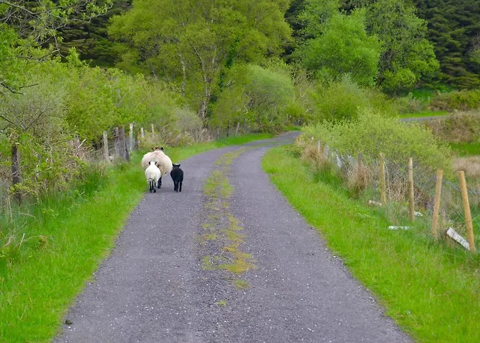 Feriehus Riverlodge Self Catering Kenmare