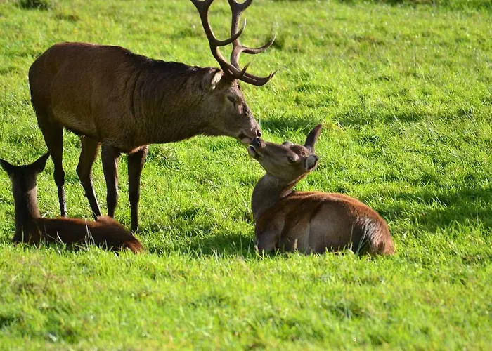 Riverlodge Self Catering